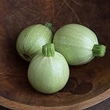 Photo David's Garden Seeds Zucchini Round Cue Ball (Green) 25 Non-GMO, Hybrid Seeds, best price $4.95, bestseller 2024