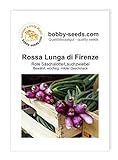 Foto Zwiebelsamen Rossa Lunga di Firenze Lauchzwiebel Portion, bester Preis 1,75 €, Bestseller 2024