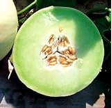 Photo Park Seed Snow Mass Honeydew Melon Seeds, best price $7.95, bestseller 2024