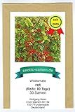 Foto Wildtomate rot - krankheitsresistent - auch für den Kübel oder Hängeampel - 30 Samen, bester Preis 2,19 € (0,07 € / stück), Bestseller 2024