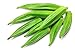 60 piezas de semillas de okra Semillas de hortalizas de jardín No GMO Heirloom Gardener's Favorite para la siembra de huertos domésticos nuevo 2024