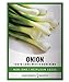 Green Onion Seeds for Planting - Tokyo Long White Bunching is A Great Heirloom, Non-GMO Vegetable Variety- 200 Seeds Great for Outdoor Spring, Winter and Fall Gardening by Gardeners Basics new 2024