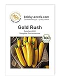 Foto Bobby-Seeds Bio-Zucchinisamen Gold Rush Portion, bester Preis 2,75 €, Bestseller 2024