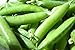 Sugar Ann Snap Pea Garden Seeds, 50 Heirloom Seeds Per Packet, Non GMO Seeds new 2023