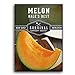 Survival Garden Seeds - Hale's Best Melon Seed for Planting - Grow Juicy Cantaloupe for Eating - Packet with Instructions to Plant in Your Home Vegetable Garden - Non-GMO Heirloom Variety new 2024