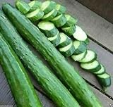 Photo Armenian Dark Green Cucumber Seeds, 100 Heirloom Seeds Per Packet, Non GMO Seeds, Botanical Name: Cucumis sativus, Isla's Garden Seeds, best price $6.25 ($0.06 / Count), bestseller 2024