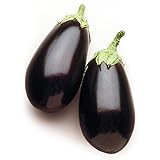 Photo David's Garden Seeds Eggplant Night Shadow (Purple) 25 Non-GMO, Hybrid Seeds, best price $3.45, bestseller 2024