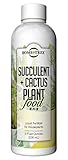 Photo Succulent and Cactus Plant Food by Home + Tree - Every Bottle Sold Plants A Tree, best price $14.97, bestseller 2024