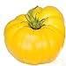 Graines de tomate, jaune Brandywine, tomates jaunes, tomates Heirloom non Ogm 50ct nouveau 2022