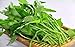 Swamp Cabbage 100PCS Seeds Delicious Green Leaf Vegetable Yard Garden Plant new 2024