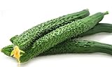 Photo Cucumber Seeds for Planting Vegetables and Fruits-Asian Suyo Long Cucumber Plant Seeds,Burpless Non GMO Garden Seeds Vegetable Seeds,Oriental Chinese Cucumber Seeds-11ct Veggie Seeds China Long Hybrid, best price $3.86 ($0.35 / Count), bestseller 2024
