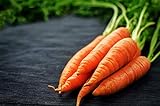 Photo Scarlet Nantes Carrot Seeds - Non-GMO - 7 Grams, Approximately 4,750 Seeds, best price $4.99, bestseller 2024