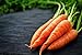 Scarlet Nantes Carrot Seeds - Non-GMO - 7 Grams, Approximately 4,750 Seeds new 2024