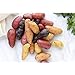 Simply Seed - 10 Piece - Fingerling Potato Seed Mix - Non GMO - Naturally Grown - Order Now for Spring Planting new 2022