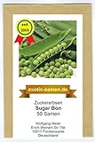Foto Zuckererbse - Sugar Bon - 50 Samen, bester Preis 1,80 €, Bestseller 2024