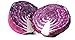 600 Red Acre Cabbage Seeds | Non-GMO | Fresh Garden Seeds new 2024