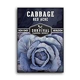 Photo Survival Garden Seeds - Red Acre Cabbage Seed for Planting - Packet with Instructions to Plant and Grow Purple Cabbages in Your Home Vegetable Garden - Non-GMO Heirloom Variety, best price $4.99, bestseller 2024