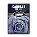 Survival Garden Seeds - Red Acre Cabbage Seed for Planting - Packet with Instructions to Plant and Grow Purple Cabbages in Your Home Vegetable Garden - Non-GMO Heirloom Variety new 2024