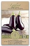 Photo Gaea's Blessing Seeds - Eggplant Seeds (200 Seeds) Black Beauty Heirloom Non-GMO Seeds with Easy to Follow Planting Instructions - 92% Germination Rate Net Wt. 1.0g, best price $5.99, bestseller 2024