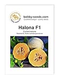 Foto Melonensamen Halona F1 Zuckermelone Portion, bester Preis 2,30 €, Bestseller 2024