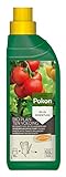 Foto Pokon Bio Pflanzendünger, Flüssigdünger, Bio-Pflanzennahrung für Gemüse und Kräuterpflanzen, 500 ml, bester Preis 5,48 € (10,96 € / l), Bestseller 2024