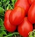 250 Roma VF Tomato Seeds | Non-GMO | Heirloom | Instant Latch Garden Seeds | Vegetable Seeds new 2023