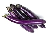 Photo Eggplant Seeds for Planting Vegetables and Fruits(Ping Tung Long Purple Eggplant)for Home Vegetable Garden.Non GMO Heirloom Garden Seeds for Planting Vegetables-50 Ping Tung Long Veggie Seeds屏东茄, best price $1.97 ($0.00 / Count), bestseller 2024