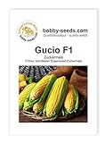 Foto Gemüsesamen Gucio F1 Zuckermais Portion, bester Preis 2,35 €, Bestseller 2024