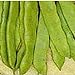 Romano Pole Beans Seeds (20+ Seeds) | Non GMO | Vegetable Fruit Herb Flower Seeds for Planting | Home Garden Greenhouse Pack new 2024