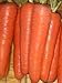 Seed Kingdom Carrot Tendersweet Great Heirloom Vegetable Seeds (5,000 Seeds) new 2024