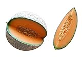 Foto Melone Cantaloupe 10 Samen (Selten) Sehr Süß, bester Preis 1,98 €, Bestseller 2024