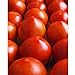 Early Girl Tomato - One of The Earliest Tomatoes!!!!!!!!!(25 - Seeds) new 2023