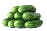 Photo 50 Straight Eight Cucumber Seeds - Heirloom Non-GMO USA Grown Vegetable Seeds for Planting - Pickling and Slicing Cucumber, best price $4.99 ($0.10 / Count), bestseller 2024