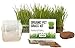 Cat Grass Growing Kit - 3 Pack Organic Seed, Soil and BPA Free containers (Non GMO). All of Our Seed is Locally sourced! new 2024