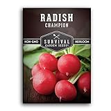 Photo Survival Garden Seeds - Champion Radish Seed for Planting - Packet with Instructions to Plant and Grow Red Radishes in Your Home Vegetable Garden - Non-GMO Heirloom Variety, best price $4.99, bestseller 2024