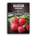 Survival Garden Seeds - Champion Radish Seed for Planting - Packet with Instructions to Plant and Grow Red Radishes in Your Home Vegetable Garden - Non-GMO Heirloom Variety new 2022