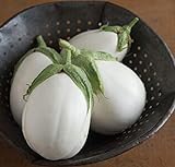 Photo David's Garden Seeds Eggplant Paloma (White) 25 Non-GMO, Hybrid Seeds, best price $3.45, bestseller 2024