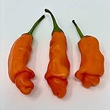 Photo Wayland Chiles Peter Pepper Seeds (Red), best price $4.00, bestseller 2024