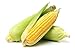 Golden X Bantom Corn Seeds, 50 Heirloom Seeds Per Packet, Non GMO Seeds, Botanical Name: Zea mays, Isla's Garden Seeds new 2024