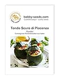 Foto Kürbissamen Tondo Scuro di Piacenza Zucchini Portion, bester Preis 1,75 €, Bestseller 2024
