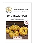 Foto SAM Bicolor PMT Kürbissamen von Bobby-Seeds 50 Korn, bester Preis 4,82 €, Bestseller 2024