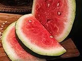 Photo Bradford Watermelon Seed Packet Super Sweet Southern Heirloom, best price $6.99, bestseller 2024