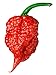 Carolina Reaper Seeds - 400 Carolina Reaper Seeds for Planting - Hottest Pepper Seeds - Hottest Chili Pepper in The World - Organic, Non - GMO Carolina Reaper Plant Seeds new 2024