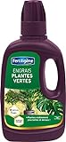 Photo Fertiligène Engrais Plantes Vertes, 400 ML, meilleur prix 5,90 € (14,75 € / l), best-seller 2024
