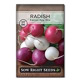 Photo Sow Right Seeds - Easter Egg Radish Seed for Planting - Non-GMO Heirloom Packet with Instructions to Plant and Grow an Indoor or Outdoor Home Vegetable Garden - Easy to Grow - Great Gardening Gift, best price $4.99, bestseller 2024