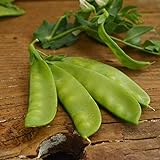 Photo Oregon Sugar Pod II Snow Pea - 50 Seeds - Heirloom & Open-Pollinated Variety, Easy-to-Grow & Cold-Tolerant, Non-GMO Vegetable Seeds for Planting Outdoors in The Home Garden, Thresh Seed Company, best price $7.99 ($0.16 / Count), bestseller 2024