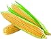 David's Garden Seeds Corn Super Sweet GSS1170 (Yellow) 100 Non-GMO, Hybrid Seeds new 2024