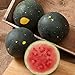 David's Garden Seeds Fruit Watermelon Moon & Stars 5547 (Red) 50 Non-GMO, Heirloom Seeds new 2024
