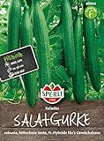 Foto 80900 Sperli Premium Gurken Samen Saladin | Schlangengurken Samen | Gurkensamen Gewächshaus | Samen Gurke | Salatgurken Samen, bester Preis 4,97 €, Bestseller 2024