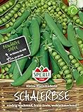 Foto 80572 Sperli Premium Erbsen Samen Kleine Rheinländerin | Frühe Ernte | Ertragreich | Erbsen Saatgut, bester Preis 3,97 €, Bestseller 2024